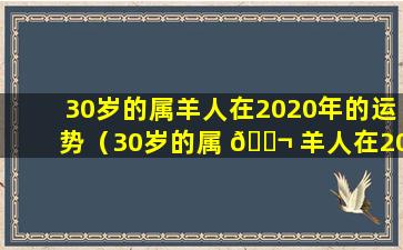 30岁的属羊人在2020年的运势（30岁的属 🐬 羊人在2020年的运势怎么样）